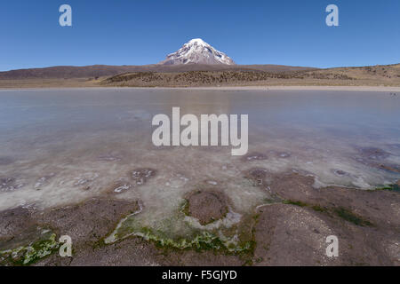 Sajama Vulkan und gefrorenen See auf dem Rio, sajama Sajama Nationalpark, Oruro, Grenze zwischen Bolivien und Chile Stockfoto