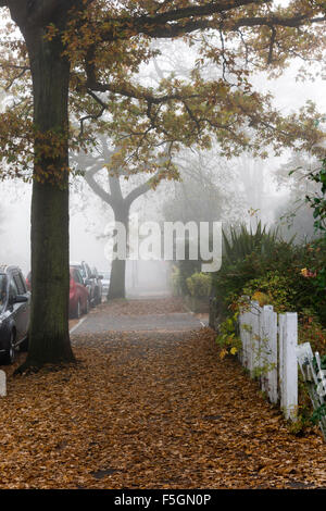 Eine neblige suburbane Straße bedeckt Blätter im Herbst. Stockfoto