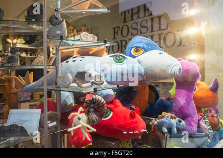 Dinosaurier-Geschenk-Shop und Fossil-Workshop im Zentrum von Lyme Regis Abend. Jurassic Coast, UNESCO, Dorset, Charmouth, Klippen, Strand Stockfoto