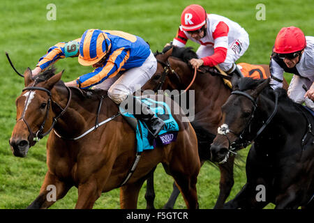 Lexington, Kentucky, USA. 31. Oktober 2015. 31. Oktober 2015: Gefunden (IRE), geritten von Ryan L. Moore, gewinnt die Longines Breeders' Cup Turf (Grad I) in Lexington, Kentucky am 31. Oktober 2015. Candice Chavez/ESW/CSM/Alamy Live-Nachrichten Stockfoto