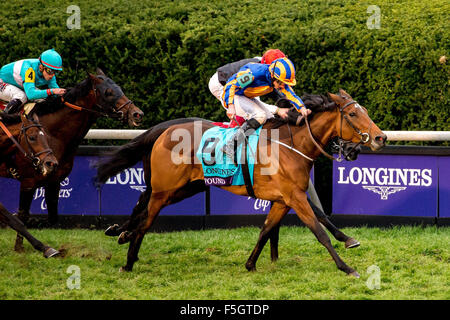 Lexington, Kentucky, USA. 31. Oktober 2015. 31. Oktober 2015: Gefunden (IRE), geritten von Ryan L. Moore, gewinnt die Longines Breeders' Cup Turf (Grad I) in Lexington, Kentucky am 31. Oktober 2015. John Voorhees/ESW/CSM/Alamy Live-Nachrichten Stockfoto