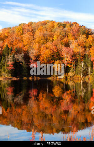 Neuengland im Herbst, Reflexion von Bäumen im Belvedere Teich See Lamoille County, Vermont New England USA Stockfoto