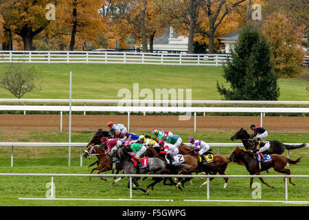 31. Oktober 2015 - Lexington, Kentucky, USA - 31. Oktober 2015: Das Feld in der Gegengeraden während der TwinSpires Breeders' Cup Turf Sprint (Grad I) in Lexington, Kentucky am 31. Oktober 2015. Candice Chavez/ESW/CSM Stockfoto