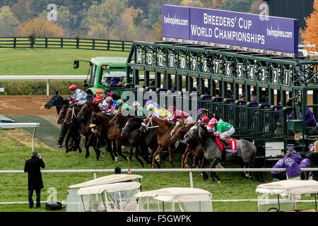 31. Oktober 2015 - Lexington, Kentucky, USA - 31. Oktober 2015: Das Spielfeld verlässt das Starttor während der TwinSpires Breeders' Cup Turf Sprint (Grad I) in Lexington, Kentucky am 31. Oktober 2015. Candice Chavez/ESW/CSM Stockfoto