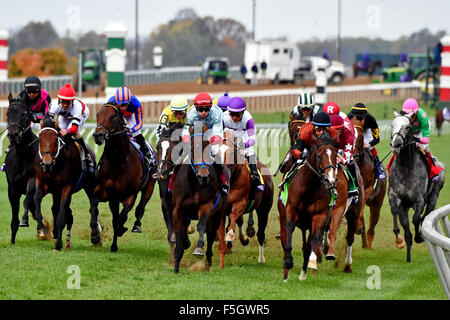 31. Oktober 2015 - Lexington, Kentucky, USA - 31. Oktober 2015: Das Feld betritt die Wende für Zuhause in der TwinSpires Breeders' Cup Turf Sprint (Grad I) in Lexington, Kentucky am 31. Oktober 2015. Bob Mayberger/ESW/CSM Stockfoto