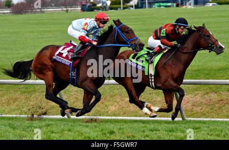 31. Oktober 2015 - Lexington, Kentucky, USA - 31. Oktober 2015: Das Feld betritt die Wende für Zuhause in der TwinSpires Breeders' Cup Turf Sprint (Grad I) in Lexington, Kentucky am 31. Oktober 2015. Bob Mayberger/ESW/CSM Stockfoto