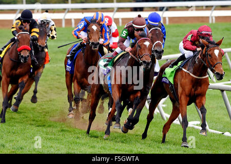 31. Oktober 2015 - Lexington, Kentucky, USA - 31. Oktober 2015: Bereich tritt die Wende für Zuhause während der Breeders' Cup Filly und Mare Turf (Grad I) in Lexington, Kentucky am 31. Oktober 2015. Bob Mayberger/ESW/CSM Stockfoto