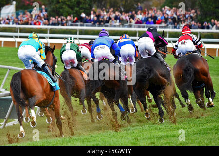 31. Oktober 2015 - Lexington, Kentucky, USA - 31. Oktober 2015: Das Feld betritt die Wende für Zuhause in der TwinSpires Breeders' Cup Turf Sprint (Grad I) in Lexington, Kentucky am 31. Oktober 2015. Bob Mayberger/ESW/CSM Stockfoto