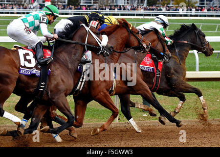 31. Oktober 2015 - Lexington, Kentucky, USA - 31. Oktober 2015: Bereich tritt die Wendung zum Haus in der TwinSpires Breeders' Cup Filly und Mare Sprint (Grad I) in Lexington, Kentucky am 31. Oktober 2015. Bob Mayberger/ESW/CSM Stockfoto