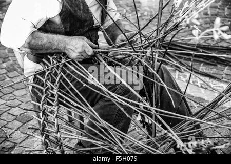 Artisan baut Weidenkörbe mit den Zweigen der Salix Viminalis. Stockfoto