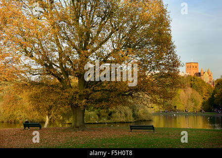 Blick auf St Albans Kathedrale im Herbst von Verulamium Park, St Albans, Hertfordshire, Großbritannien Stockfoto