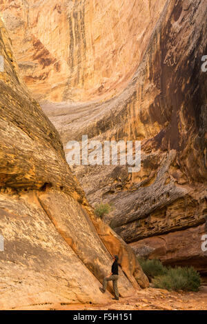 Ein Wanderer steht unter Navajo Canyon Sandsteinwände in Grand Wash, Capitol Reef National Park, Utah Stockfoto