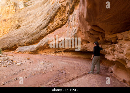 Ein Wanderer steht unter Navajo Canyon Sandsteinwände in Grand Wash, Capitol Reef National Park, Utah Stockfoto