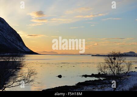 Baum vor kommt der kalten blauen Fjord und verschneiten Küste wie die Sonne hinter hohen Berg auf der Insel Senja heraus Stockfoto