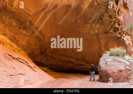 Ein Wanderer steht unter Navajo Canyon Sandsteinwände in Grand Wash, Capitol Reef National Park, Utah Stockfoto