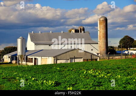 Lancaster County, Pennsylvania: Unberührte amischen Bauernhof mit großer Scheune, Silos und Felder von Produkten * Stockfoto