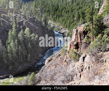 Animas River in den San Juan Mountains in den Colorado Rockies Stockfoto