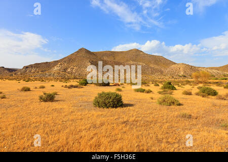 Tabernas-Wüste (in Spanisch Desierto de Tabernas) ist Europas einzige Wüste. Es befindet sich in der Nähe von Almeria, Andalusien, Spanien Stockfoto