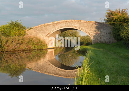 Dutton's Bridge (Nr. 112) führt einen Farm Track über den Shropshire Union Canal in der Stadt Stockfoto