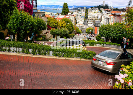 Die Drehungen und Wendungen der Lombard Street in der Innenstadt von San Francisco, Kalifornien Stockfoto