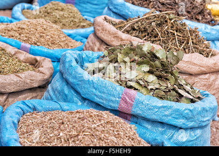 Kräuter und Gewürze auf dem Markt. Stockfoto