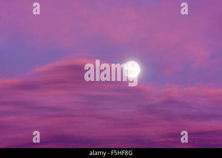 Supermoon diffuse mit dünnen Cloud vor Teil, am frühen Abend, Blaue Stunde, Lila und violetten Wolken. Stockfoto