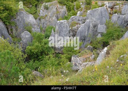 Die Fondry des Chiens (Gruben der Hunde) seltsame geologische Ort mit engen Verbindungen zur Karst Entwicklung. Stockfoto