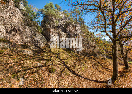 Herbstliche Bayerischer Wald-PFAHL in Viechtach, Bayerischer Wald, Hügel, Berge, Quarz, Quarzsteine, Weg, Herbstsonne, Copysp Stockfoto