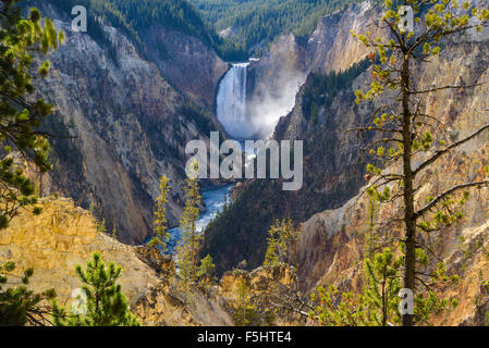 Lower Falls und Grand Canyon des Yellowstone, von Künstlern Punkt, Yellowstone-Nationalpark, Wyoming, USA Stockfoto