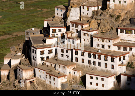 Indien, Himachal Pradesh, Spiti Valley, Schlüssel Kloster des Mönchs Hang Viertel im frühen Morgenlicht Stockfoto