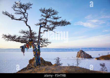 Einsamer heiliger Baum und jeder Stein Schamanka am Kap Burchan auf Olchon-Insel im sibirischen Baikalsee im winter Stockfoto