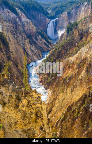 Lower Falls und Grand Canyon des Yellowstone, von Künstlern Punkt, Yellowstone-Nationalpark, Wyoming, USA Stockfoto