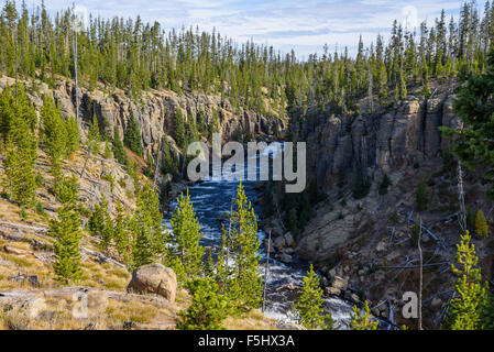 Lewis River, Yellowstone-Nationalpark, Wyoming, USA Stockfoto