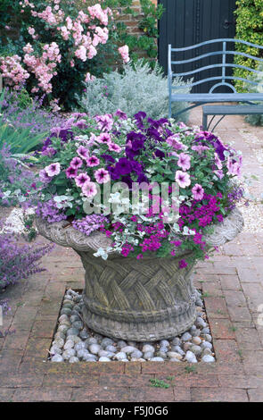 Nahaufnahme von rosa Petunien und lila Heliotrop in reich verzierten Stein Topf mit nachgestellten Efeu an gepflasterte Terrasse mit rosa Rosen Stockfoto