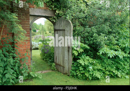 Offenen Tür in großen ummauerten Garten mit grüne Sträucher wachsen gegen die Wand Stockfoto