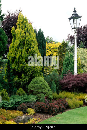 Vintage Laterne in einer gepflegten Nadelbaum-Grenze mit einer Vielzahl von Nadelbaum Sträucher in einem großen Land-Garten Stockfoto