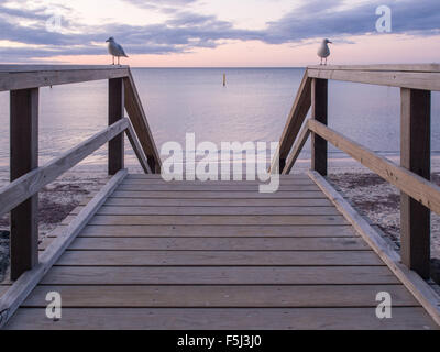 Möwen auf einem Holzsteg führt zum Strand bei Sonnenuntergang Stockfoto