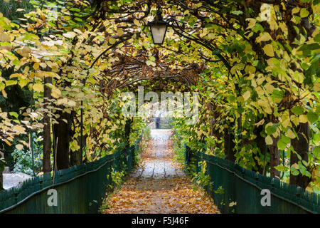 Vogel Käfig zu Fuß, Clifton, Bristol. Stockfoto