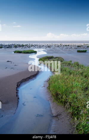 Salzwiesen und Wattenmeer. Steart Wohnungen. Somerset. VEREINIGTES KÖNIGREICH. Stockfoto