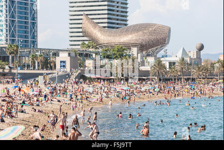 Fisch oder Peix, Gehrys Bronzeskulptur am Olympischen Hafen Zone. Sonne Badegäste am städtischen Strand von Barceloneta, Barcelona, Catalan, Spanien Stockfoto