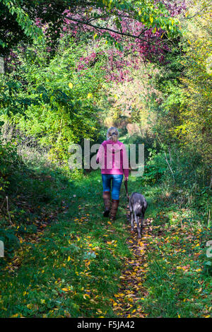 Frau zu Fuß einen Hund auf einem herbstlichen Weg Stockfoto