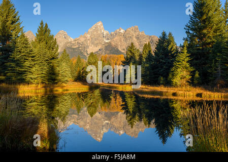 Teton Range von der Schwabacher Landung, Snake River im Morgengrauen, Grand-Teton-Nationalpark, Wyoming, USA Stockfoto