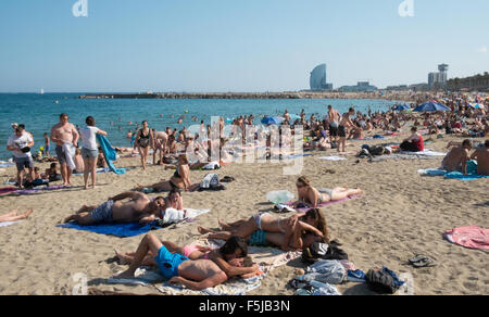 Sonnenbaden am Stadtstrand, Barceloneta,Barcelona.warning,danger,sunburn,sun,burnt,beach,Catalonia,Spain. Stockfoto