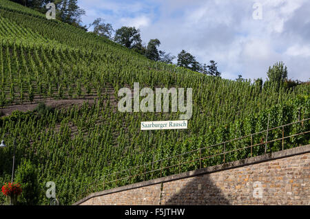 Melden Sie sich mit dem Namen des Saarburger Rausch Weinberg, Saarburg, Rheinlad-Pfalz, Deutschland Stockfoto