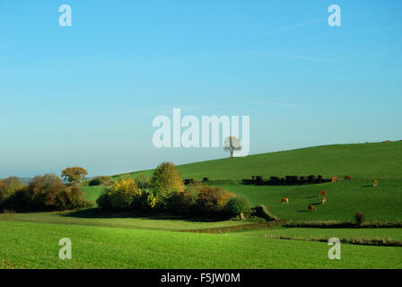 Landschaft in Zuid-Limburg, Niederlande Stockfoto