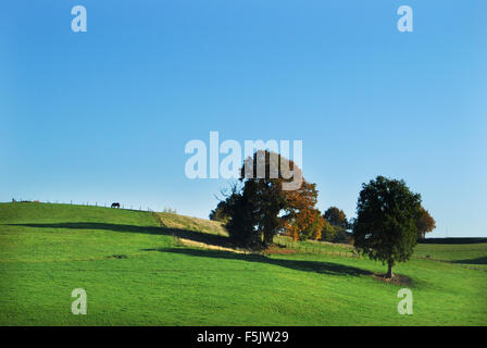 Landschaft in Zuid-Limburg, Niederlande Stockfoto