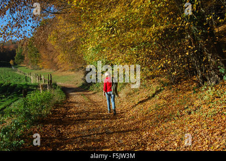 ein Spaziergang durch die niederländische Landschaft, Epen, Zuid-Limburg, Niederlande Stockfoto