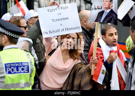 London, Großbritannien. November 2015. Demonstranten für und gegen den ägyptischen Präsidenten al-Sisi protestieren in Whitehall und warten auf seine Ankunft in der Downing Street, um den Premierminister zu treffen - Sisi-Unterstützer Quelle: PjrNews/Alamy Live News Stockfoto