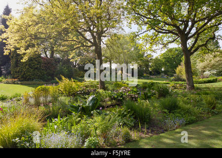 Beth Chatto Gardens Stockfoto