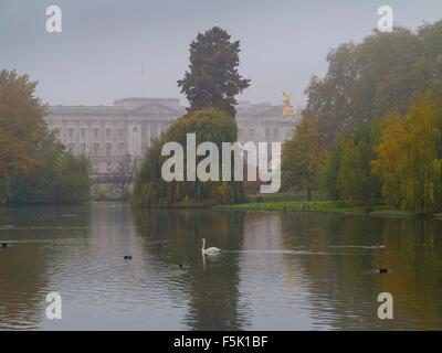 Eine neblige St James Park in London im Herbst Stockfoto